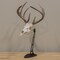 Allen Co EZ Mount Centerpiece Skull Stand, Brown 7226 - alternate 2